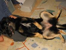 ..und de Hund!