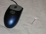 Das Opfer: eine Logitech Wheel Mouse