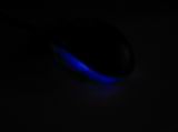 Mouse bei Nacht...